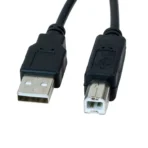 Cable USB 2.0 A-macho a B-macho, 6 pies XTC-307 - Imagen 2